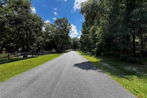 Terrain à vendre à Ocala, Floride № 1851039 - photo 3