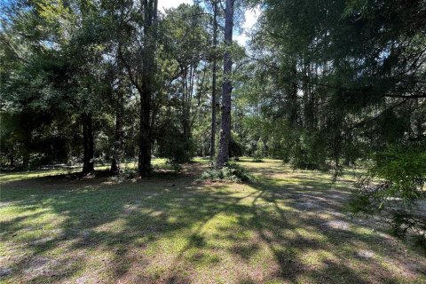 Terrain à vendre à Ocala, Floride № 1851039 - photo 2