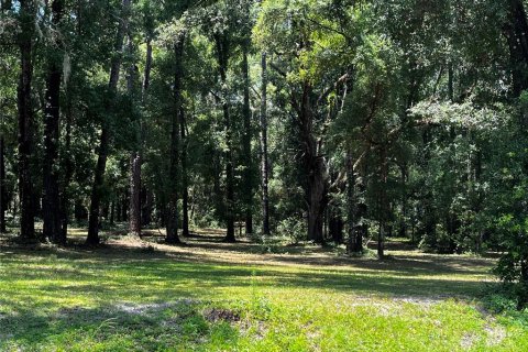 Terrain à vendre à Ocala, Floride № 1851039 - photo 5