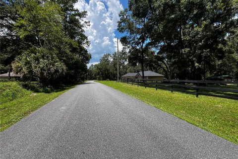Terrain à vendre à Ocala, Floride № 1851039 - photo 4