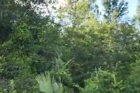 Land in Summerfield, Florida № 1869255 - photo 1