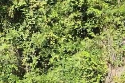 Land in Summerfield, Florida № 1869255 - photo 2