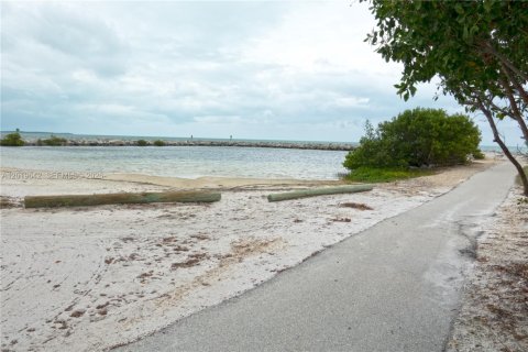 Land in Key Largo, Florida № 2086753 - photo 3
