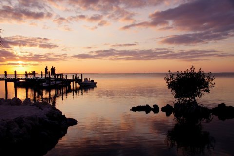 Land in Key Largo, Florida № 2086753 - photo 4