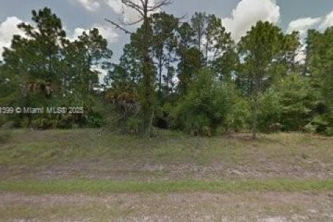 Land in Clewiston, Florida № 1862010 - photo 2