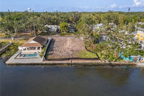 Land in Bradenton, Florida № 1744911 - photo 4