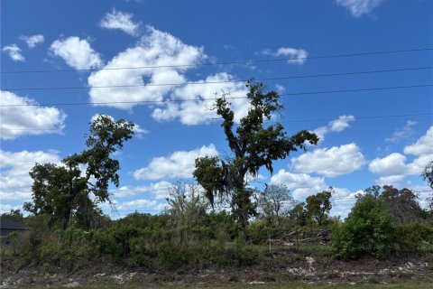 Terrain à vendre à Melrose, Floride № 2163657 - photo 4