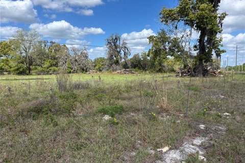 Terrain à vendre à Melrose, Floride № 2163657 - photo 5