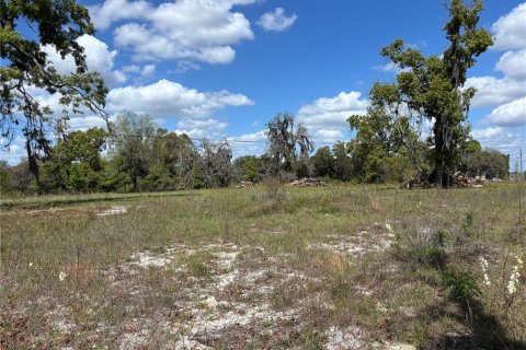 Terrain à vendre à Melrose, Floride № 2163657 - photo 3