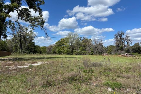 Terrain à Melrose, Floride № 2163657