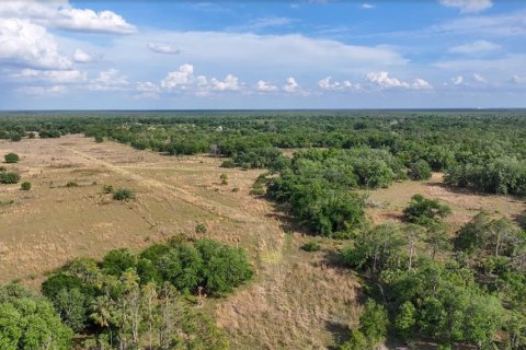 Land in Arcadia, Florida № 1591097 - photo 14