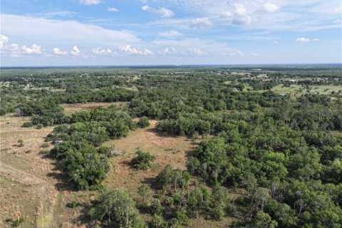 Land in Arcadia, Florida № 1591097 - photo 29