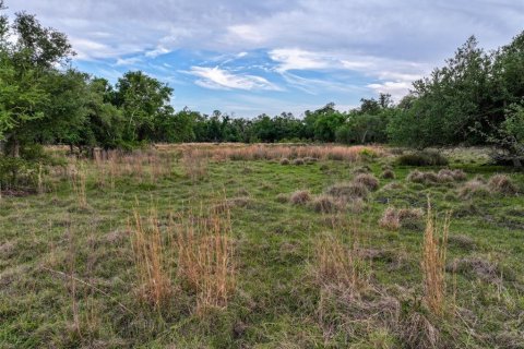 Land in Arcadia, Florida № 1591097 - photo 24
