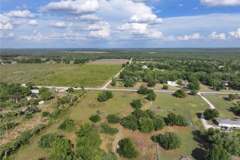 Land in Arcadia, Florida № 1591097 - photo 25
