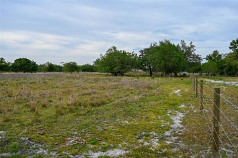 Land in Arcadia, Florida № 1591097 - photo 17