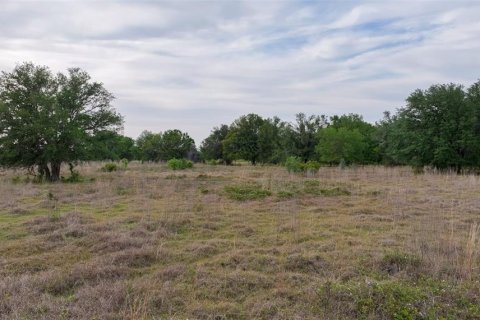 Land in Arcadia, Florida № 1591097 - photo 28