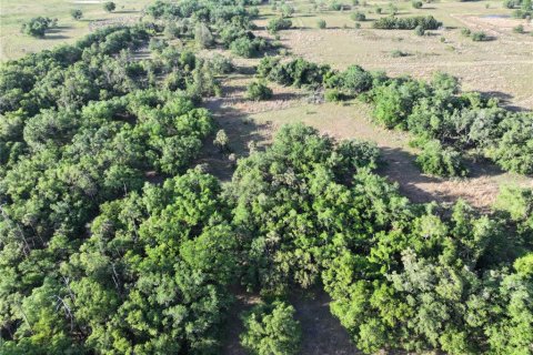 Land in Arcadia, Florida № 1591097 - photo 21