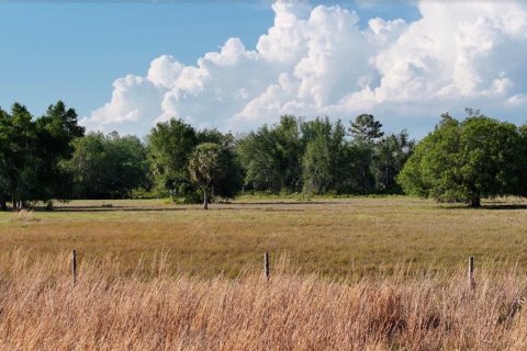 Land in Arcadia, Florida № 1591097 - photo 2