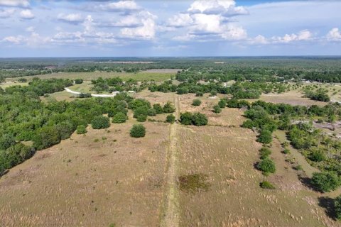 Land in Arcadia, Florida № 1591097 - photo 27