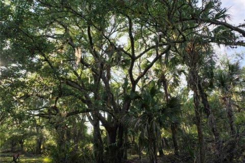 Land in Arcadia, Florida № 1591097 - photo 20