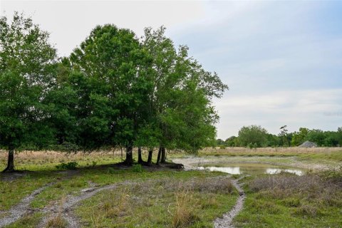 Land in Arcadia, Florida № 1591097 - photo 6