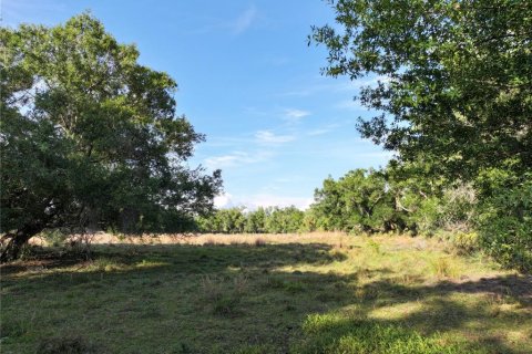Land in Arcadia, Florida № 1591097 - photo 22