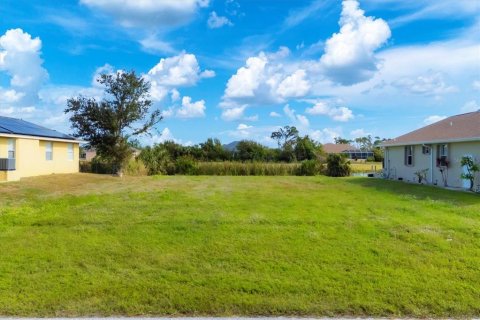Land in Rotonda, Florida № 1561495 - photo 4