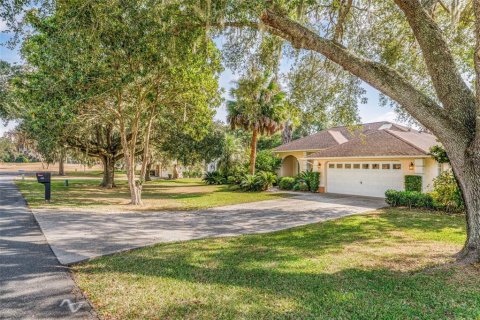 Villa ou maison à vendre à Inverness, Floride: 4 chambres, 174.01 m2 № 2389233 - photo 2