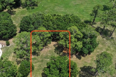 Terreno en venta en Gainesville, Florida № 1724693 - foto 4
