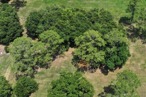 Terreno en venta en Gainesville, Florida № 1724693 - foto 2