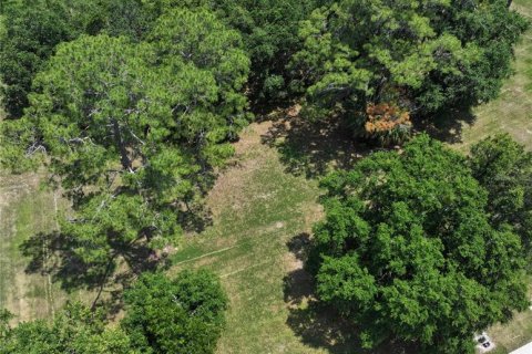 Terreno en venta en Gainesville, Florida № 1724693 - foto 3