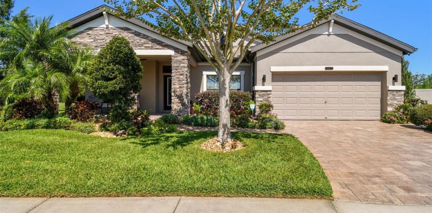 House in CONNERTON
in Land O' Lakes, Florida 3 bedrooms, 223.71 sq.m. № 1628810