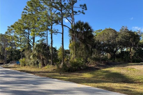 Land in North Port, Florida № 2163043 - photo 10