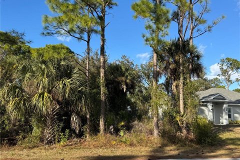 Land in North Port, Florida № 2163043 - photo 7