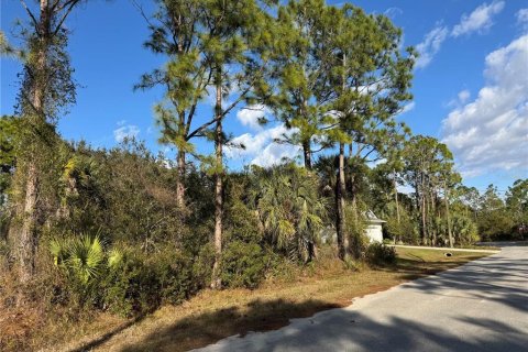 Land in North Port, Florida № 2163043 - photo 6