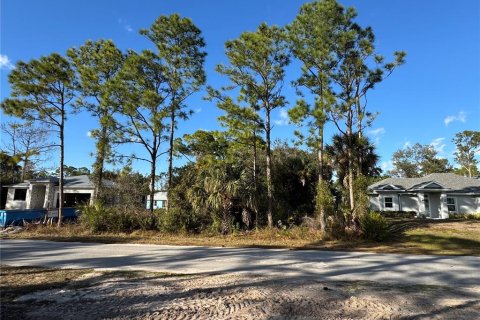 Land in North Port, Florida № 2163043 - photo 3