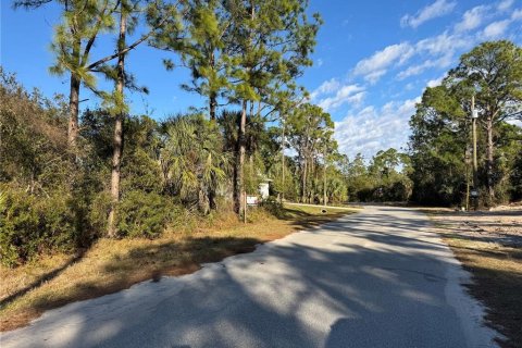 Land in North Port, Florida № 2163043 - photo 9