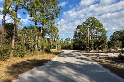 Land in North Port, Florida № 2163043 - photo 8