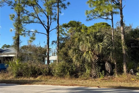 Land in North Port, Florida № 2163043 - photo 5