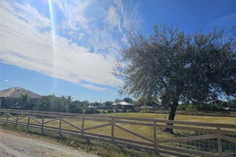Land in LaBelle, Florida № 1855844 - photo 4