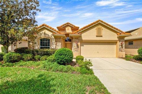 House in Hernando, Florida 4 bedrooms, 226.87 sq.m. № 2197352