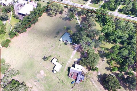 Land in Dover, Florida № 212869 - photo 7