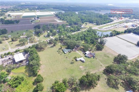 Land in Dover, Florida № 212869 - photo 4