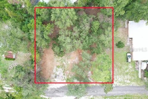 Land in Paisley, Florida № 2386241 - photo 6