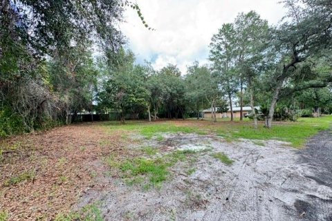 Land in Paisley, Florida № 2386241 - photo 8