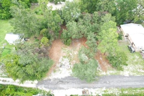 Land in Paisley, Florida № 2386241 - photo 5