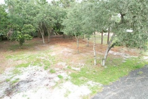 Land in Paisley, Florida № 2386241 - photo 2