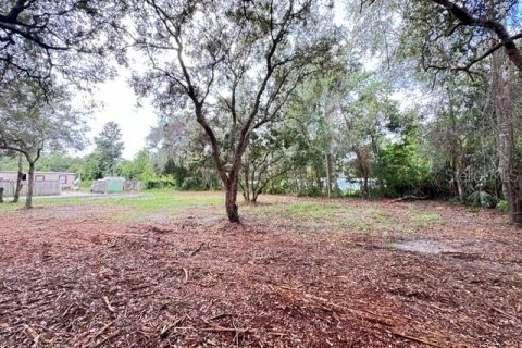 Land in Paisley, Florida № 2386241 - photo 7