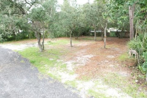 Land in Paisley, Florida № 2386241 - photo 4