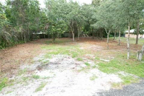 Land in Paisley, Florida № 2386241 - photo 3